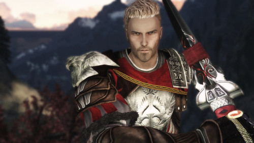 skyrim male face mods