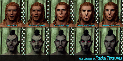 skyrim se better faces